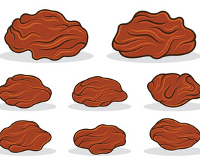 Raisins Icon Vector