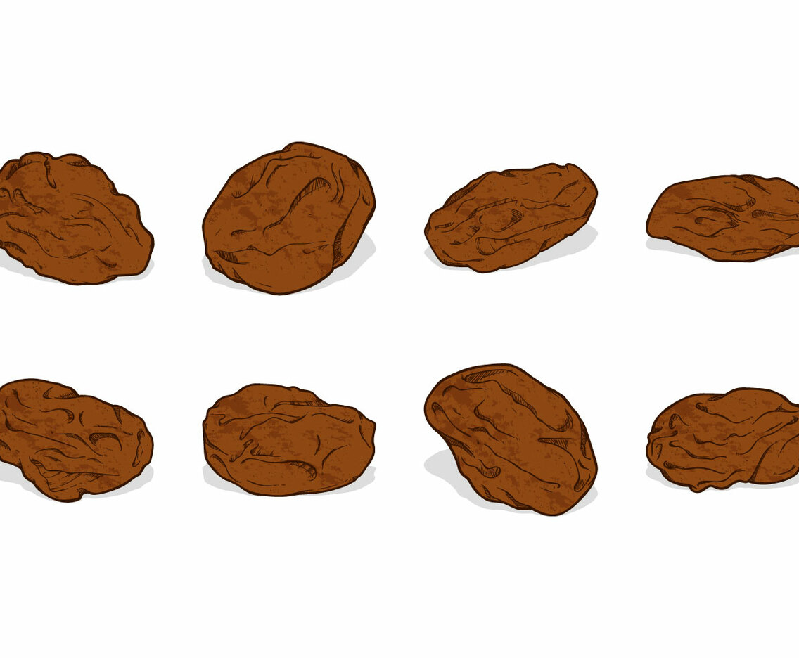 Hand Drawing Raisins Vector