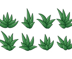 Free Maguey Vector
