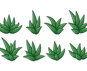 Free Maguey Vector