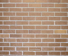 Brick Wall Vector Background