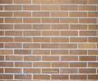 Brick Wall Vector Background