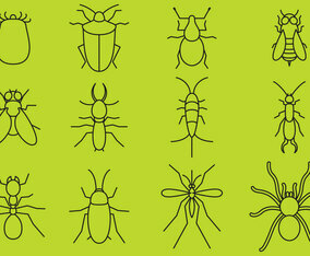 Bugs Line Icons