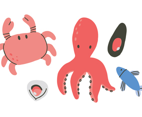 Sea World Animal Vectors