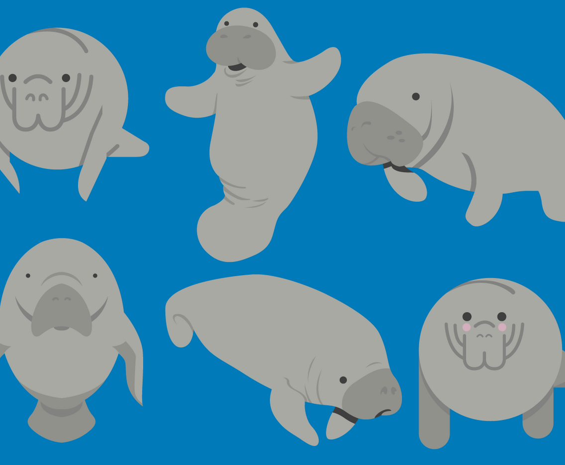 Manatee Vectors