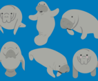 Manatee Vectors