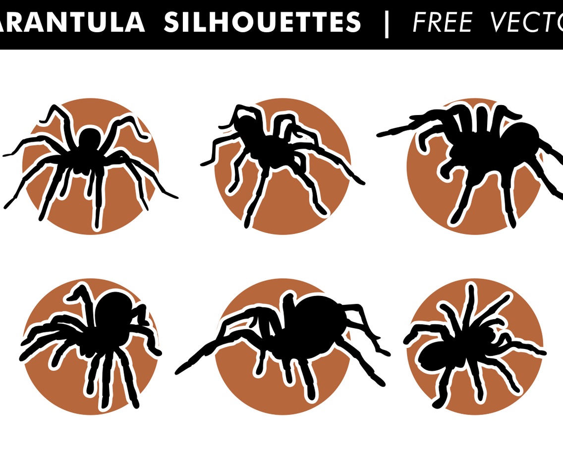 Tarantula Silhouettes Free Vector