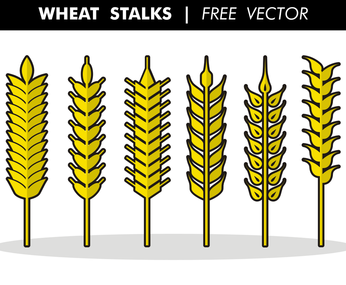 Wheat Stalks Free Vector