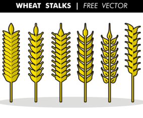 Wheat Stalks Free Vector