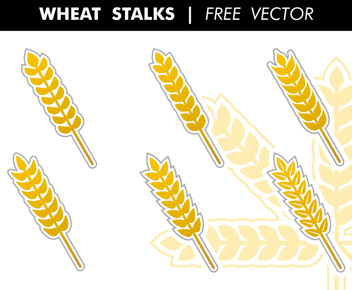 Wheat Stalks Free Vector