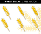 Wheat Stalks Free Vector