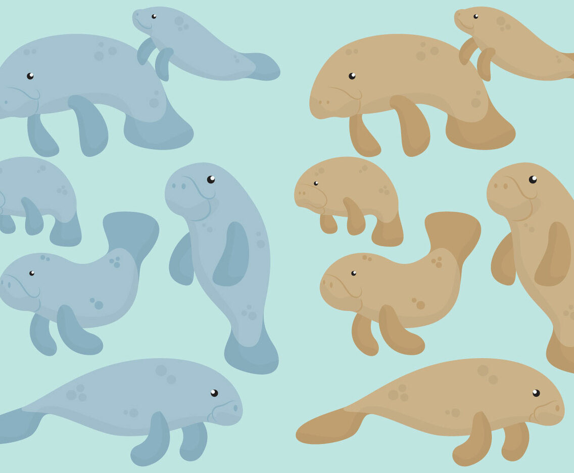 Cute Manatees