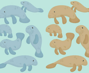 Cute Manatees