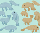 Cute Manatees