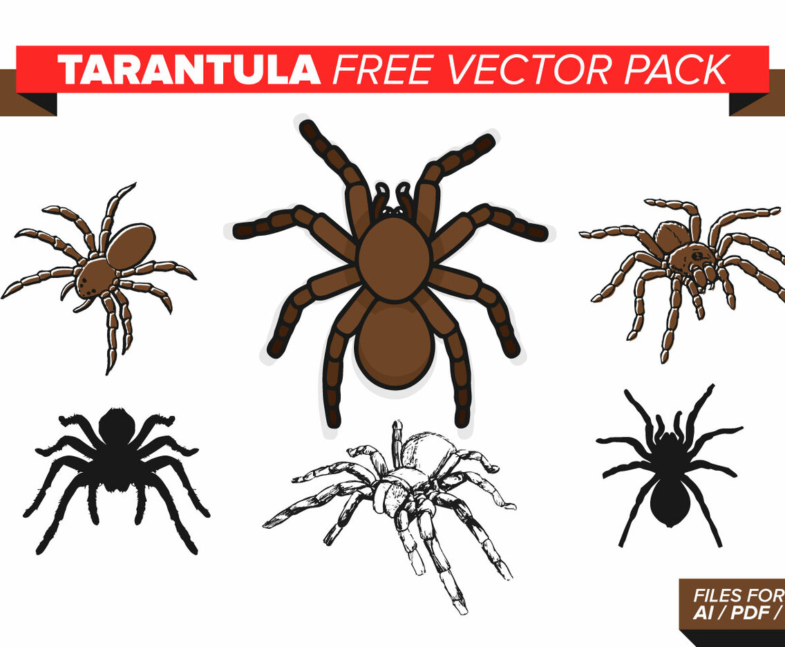 Tarantula Free Vector Pack