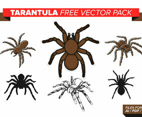 Tarantula Free Vector Pack