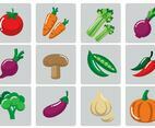 Vegetables Vector Illustration