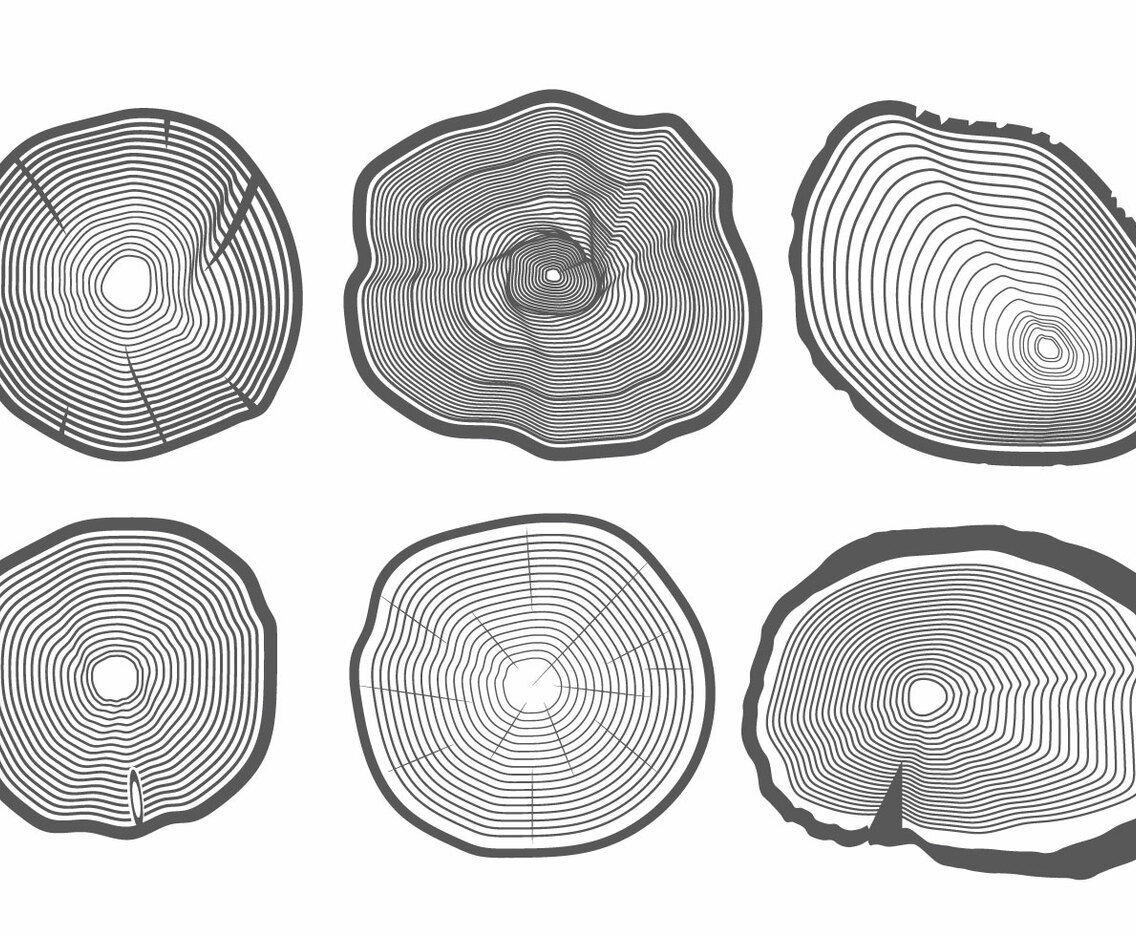 Tree Rings Vector