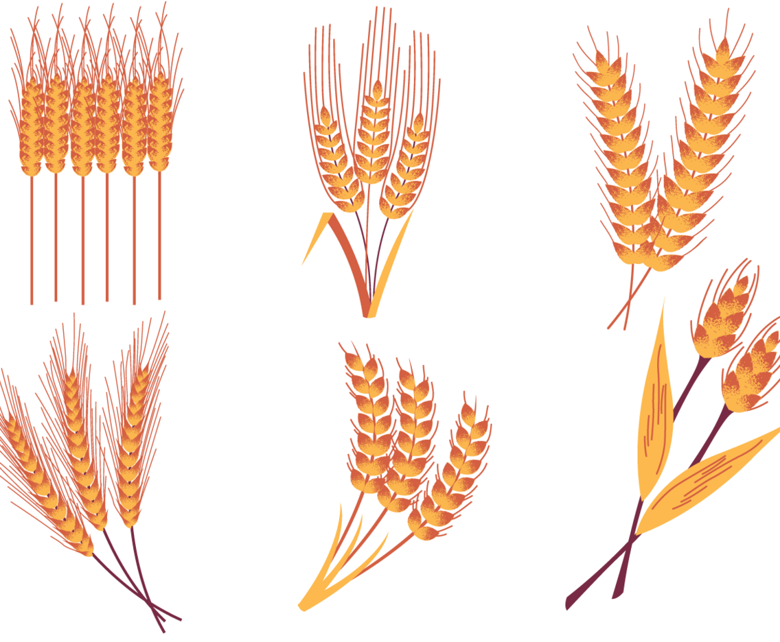 Wheat Stalk