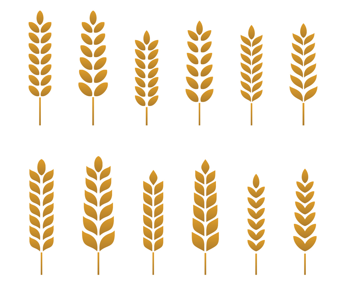 Free Wheat Vector