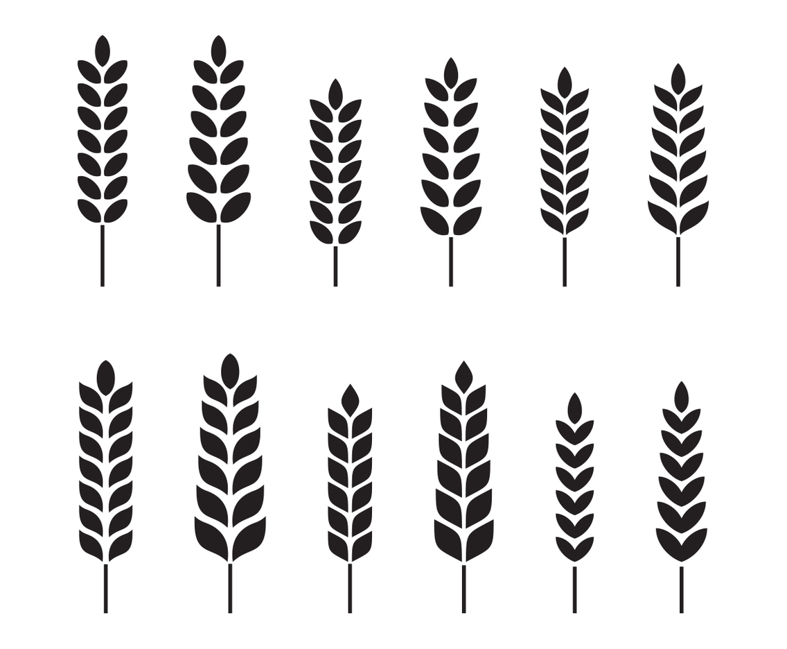 Free Wheat Vector