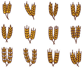 Free Wheat Vector