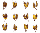 Free Wheat Vector