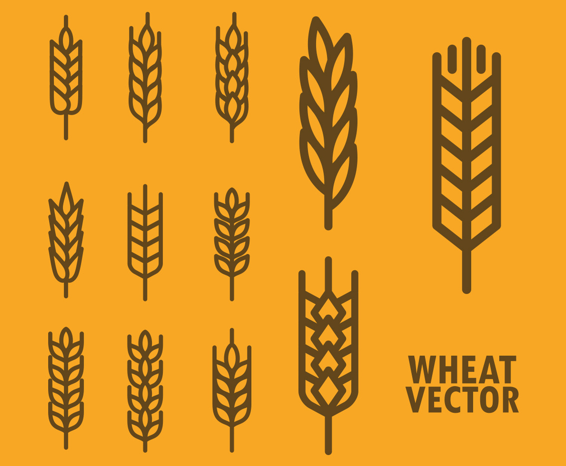 Free Wheat Vector Icons