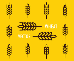 Wheat Free Vector