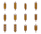 Free Wheat Vector