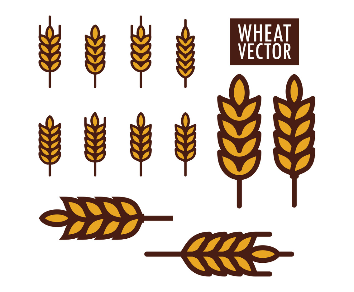 Wheat Vectors