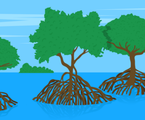 Mangrove Tree Vector Lanscape