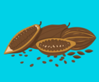 Cocoa Beans