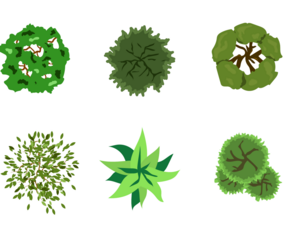 Free Tree Tops Vector