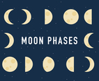 The Moon Phases Process Vector