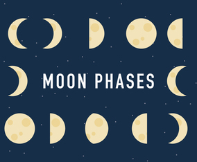 The Moon Phases Process Vector