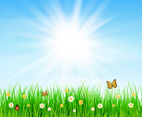 Beautiful Spring Background