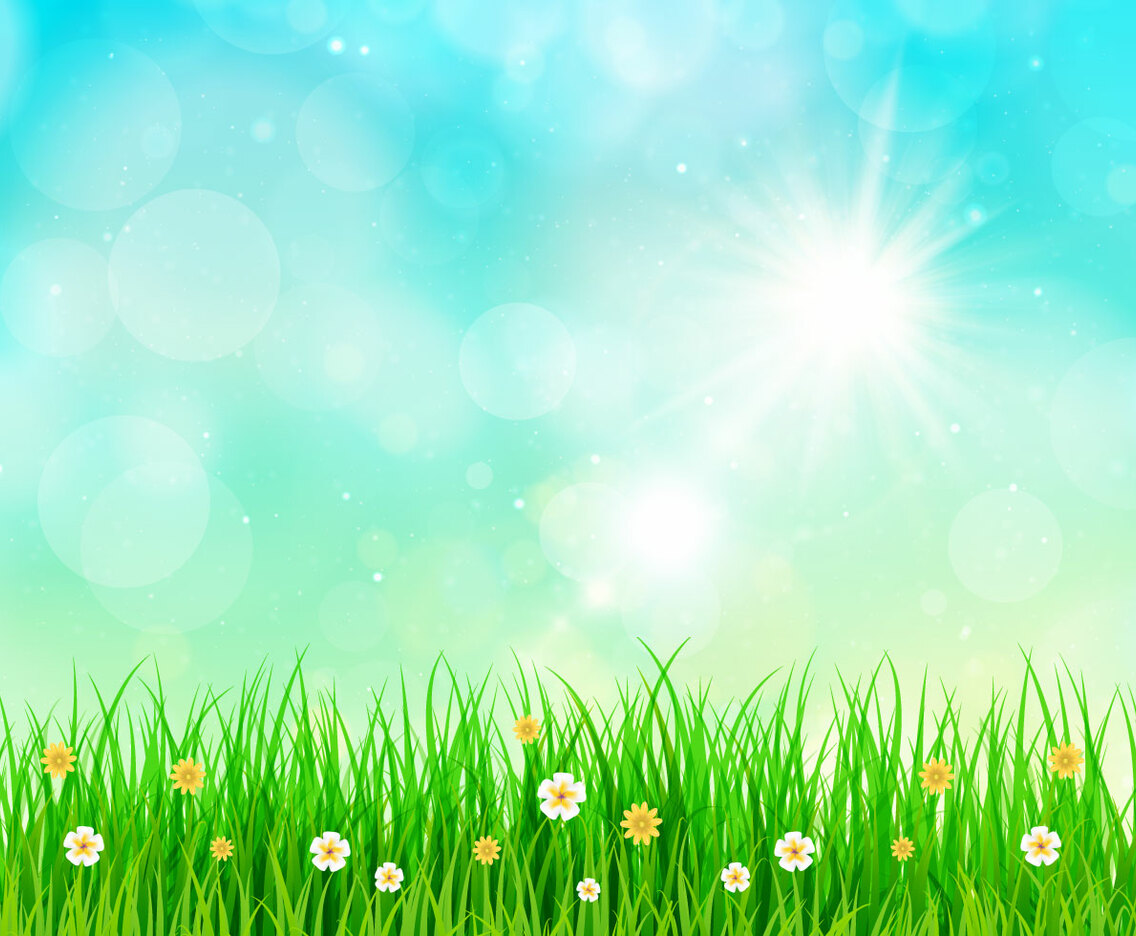 Sunny Sky Spring Background