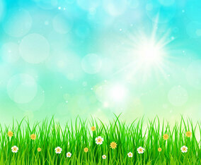 Sunny Sky Spring Background