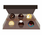 Box of Truffles Vector