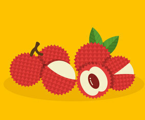 Lychee Vector Fruit
