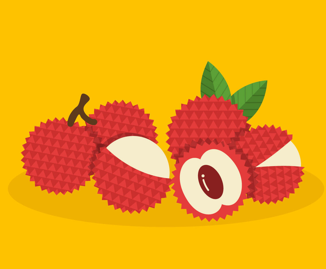 Lychee Vector Fruit