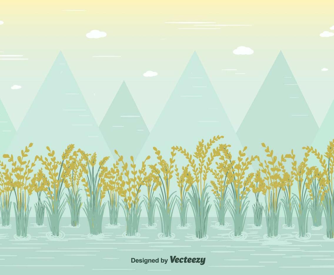 Free Rice Field Vector