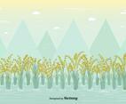 Free Rice Field Vector