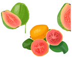 Guava