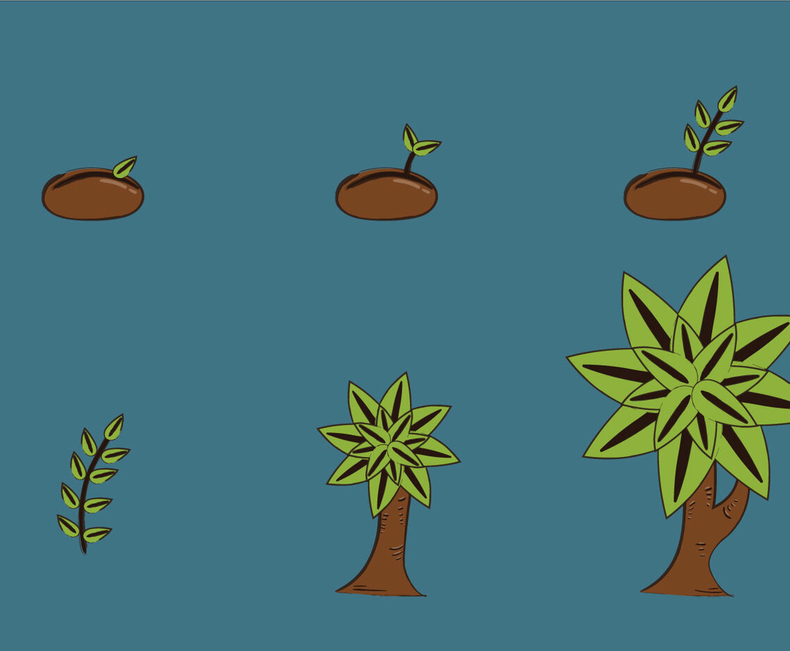 Free Plant Growth Cycle Vector Illustration