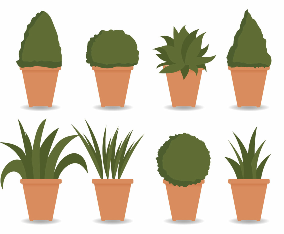 Planter Vector