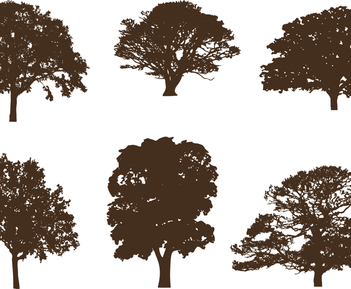 Oak tree silhouettes