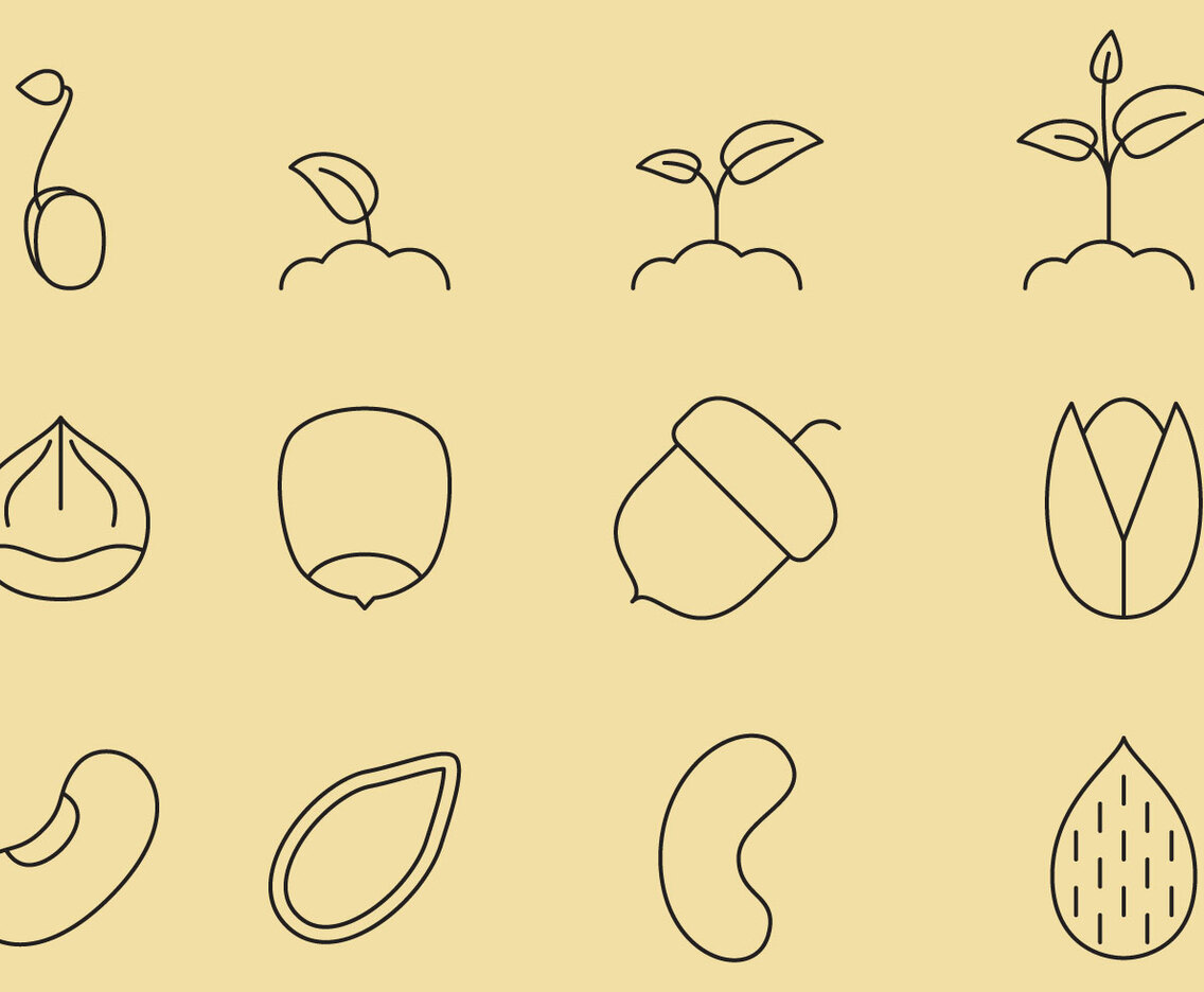 Seed Line Icons