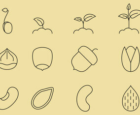 Seed Line Icons